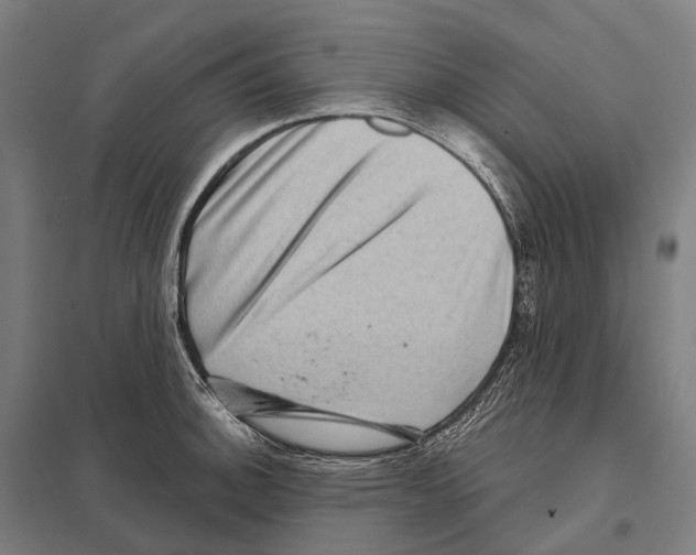 X0000097631140200803281053