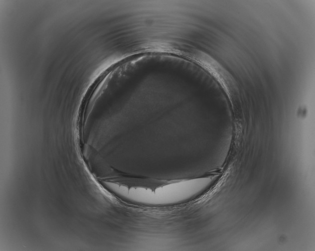 X0000097631141200803281053