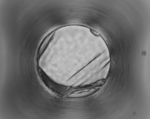X0000097631142200803281053