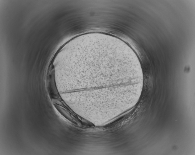 X0000097631143200803281054