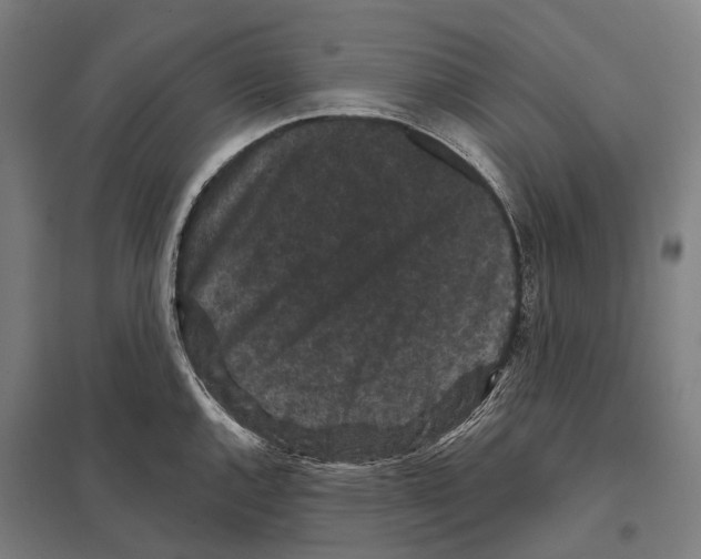 X0000097631144200803281054
