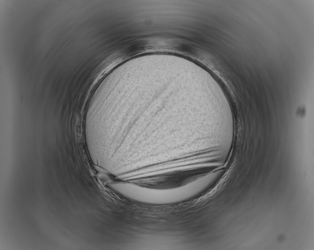 X0000097631145200803281054