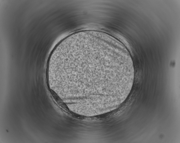 X0000097631146200803281054