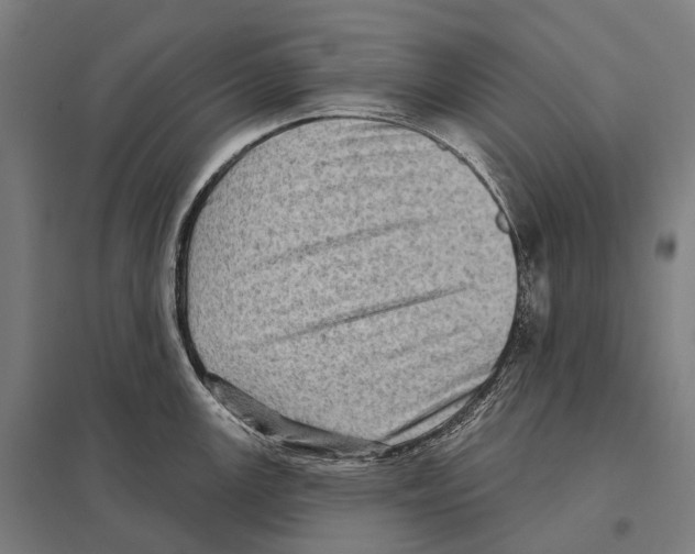 X0000097631147200803281054