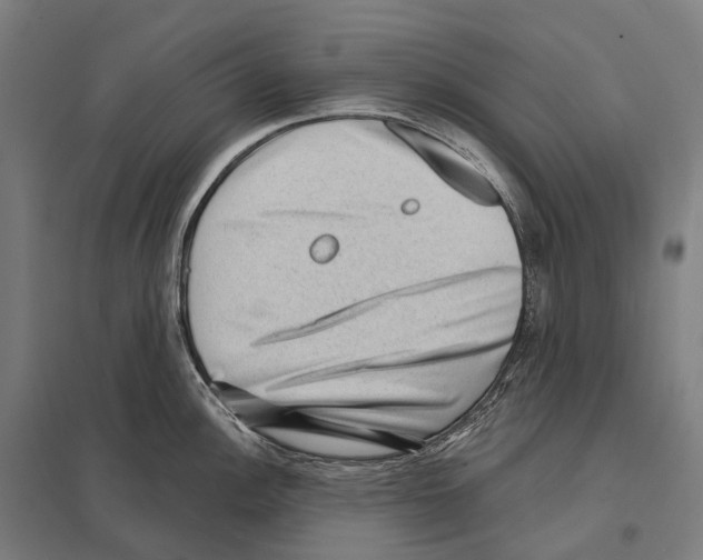 X0000097631148200803281054