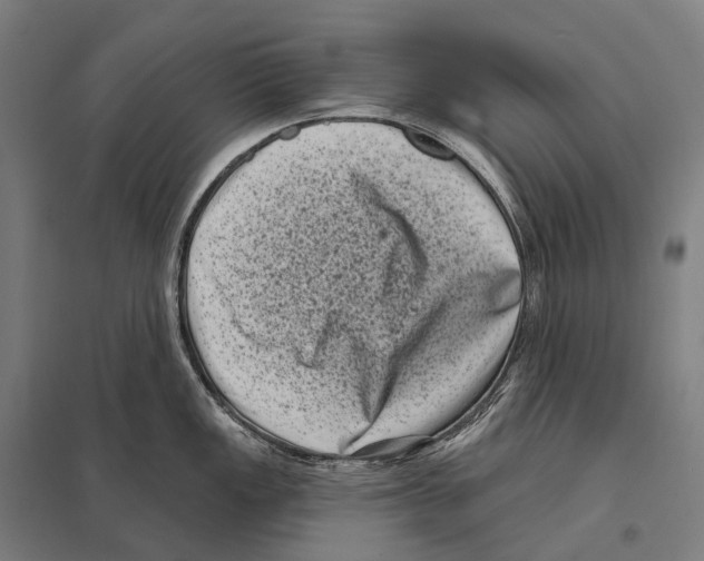 X0000097631149200803281054