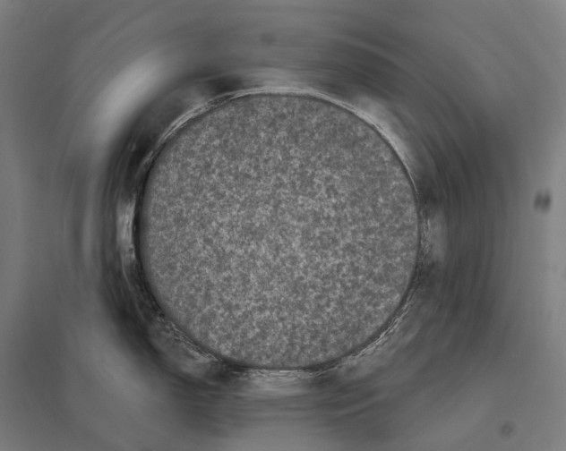 X0000097631150200803281054