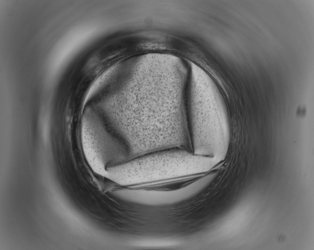X0000097631151200803281054