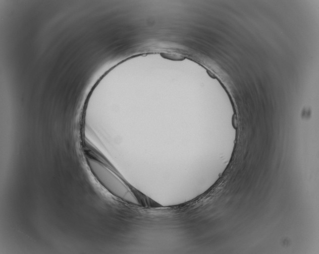 X0000097631152200803281054
