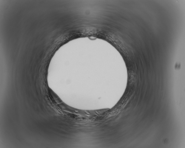 X0000097631153200803281053