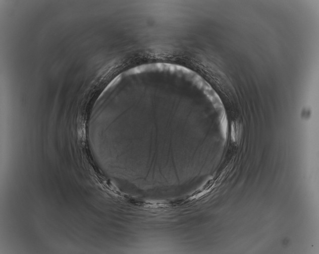 X0000097631155200803281053