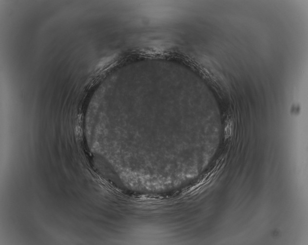 X0000097631156200803281053