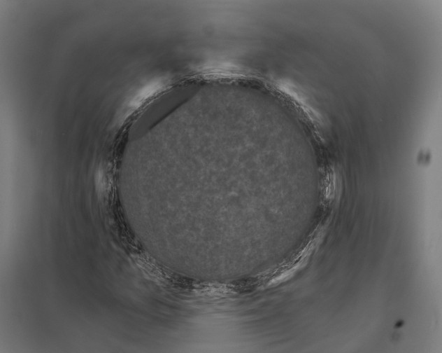 X0000097631157200803281053