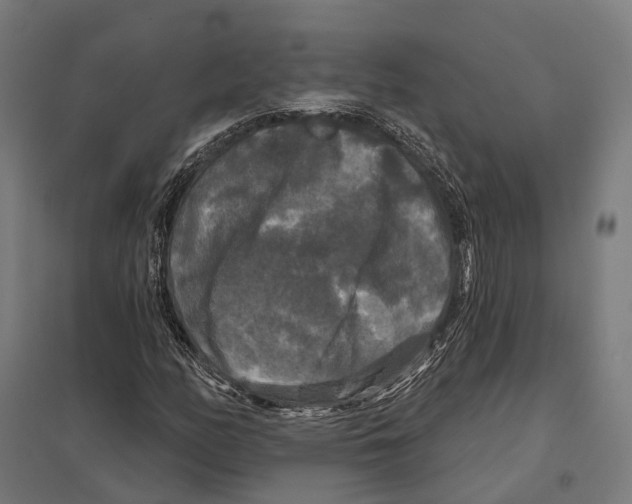 X0000097631158200803281053