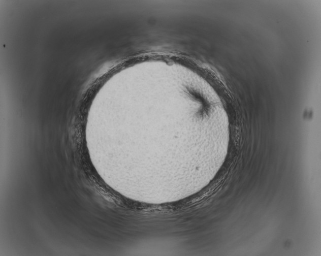X0000097631159200803281053
