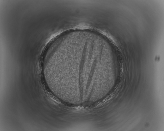 X0000097631160200803281053