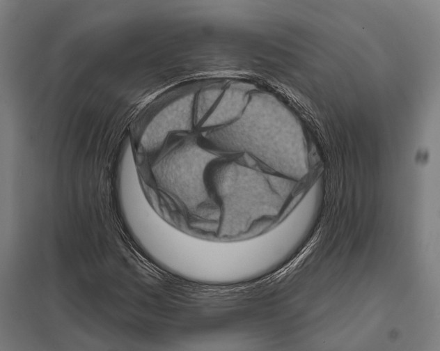 X0000097631161200803281053