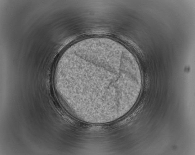 X0000097631162200803281053