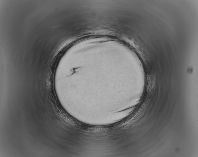 X0000097631163200803281053