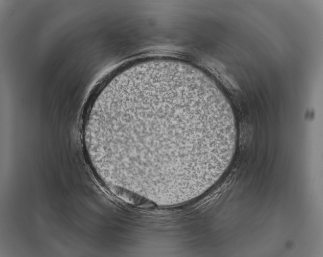 X0000097631164200803281053
