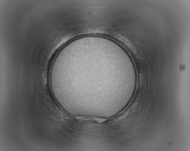 X0000097631165200803281053