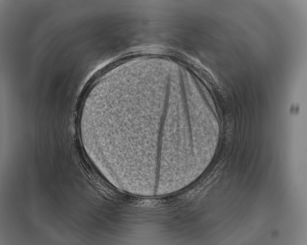 X0000097631166200803281053