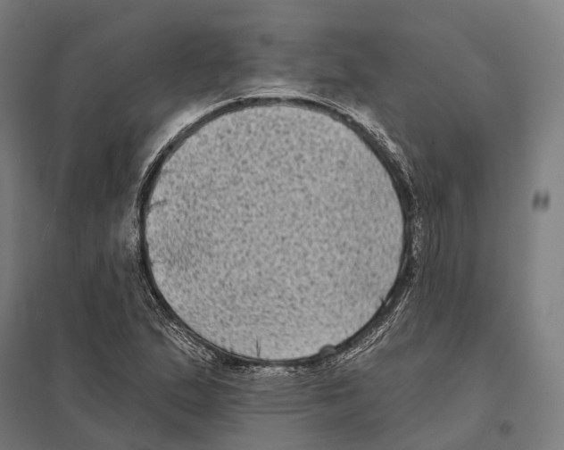 X0000097631167200803281053