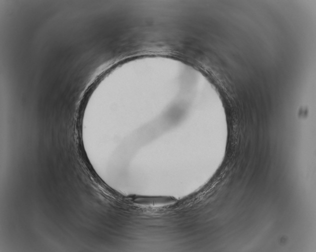 X0000097631168200803281053
