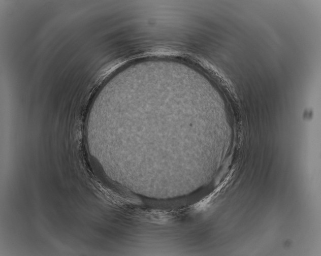 X0000097631169200803281053