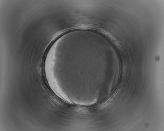 X0000097631170200803281053