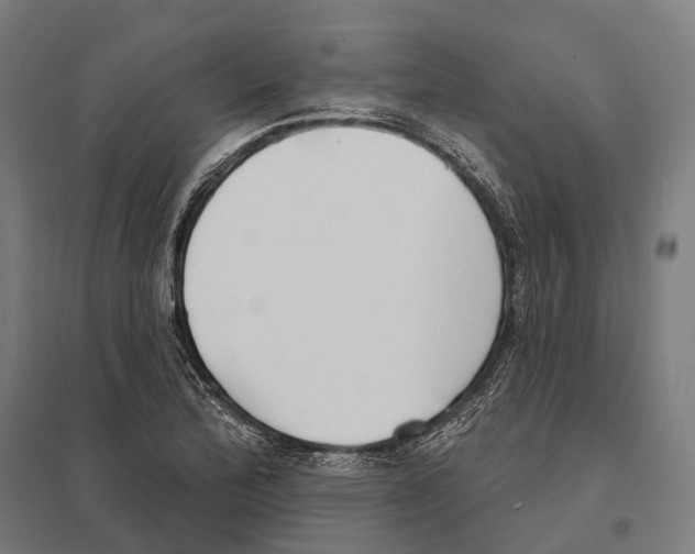 X0000097631172200803281053