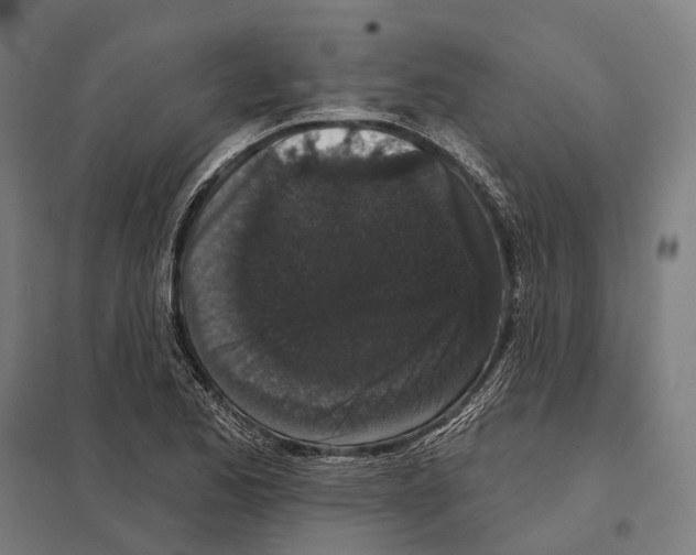 X0000097631173200803281053