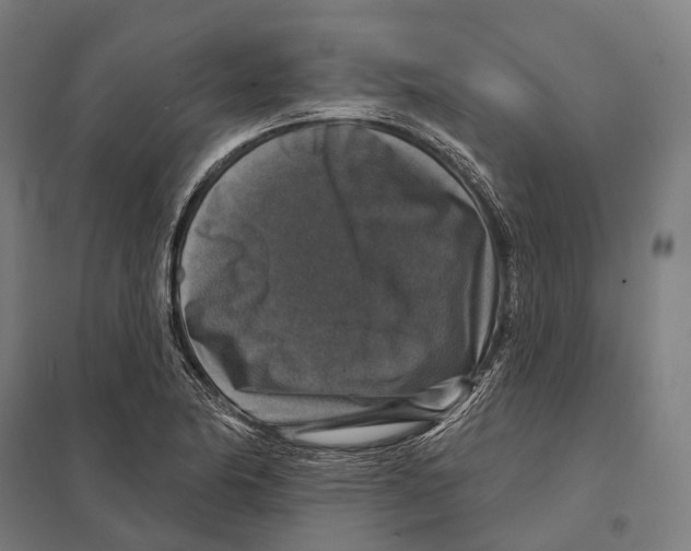 X0000097631174200803281053