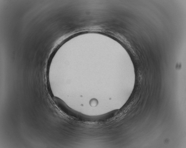 X0000097631176200803281052