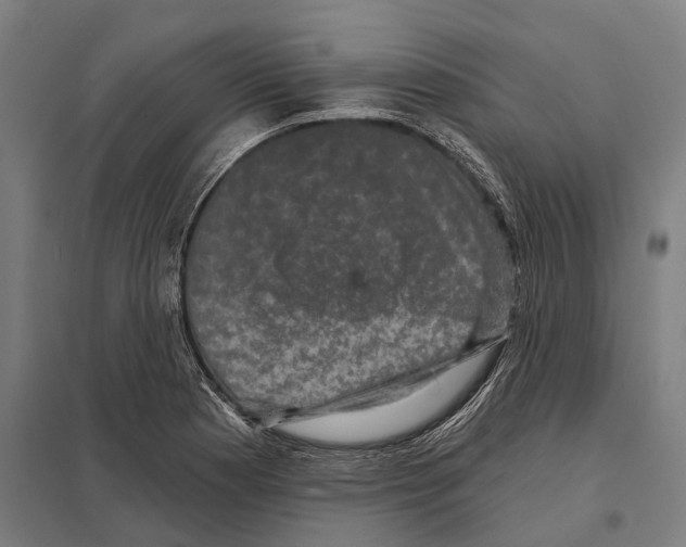 X0000097631177200803281052