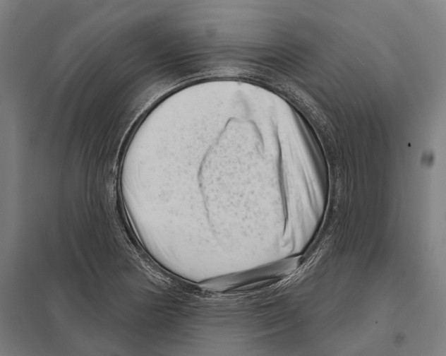 X0000097631178200803281052