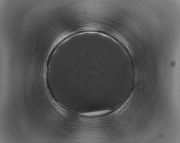 X0000097631179200803281052