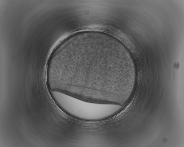 X0000097631180200803281052