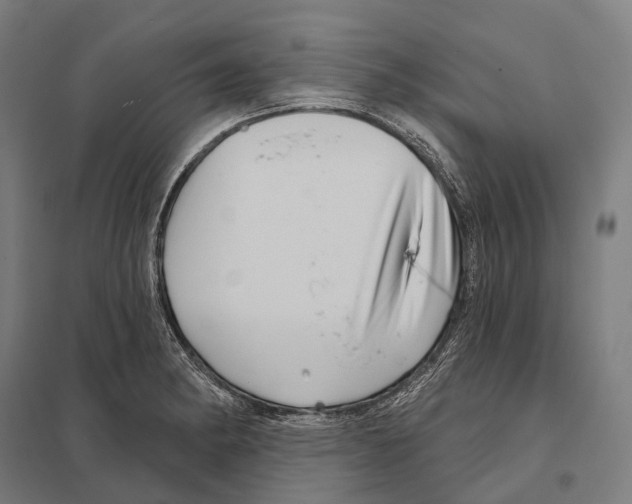 X0000097631182200803281052