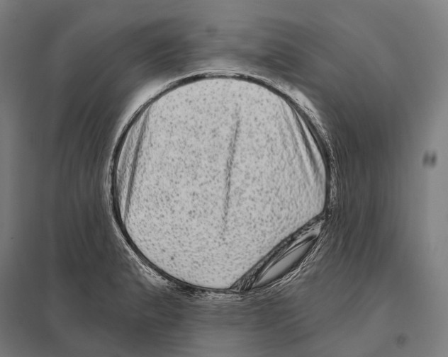 X0000097631183200803281052