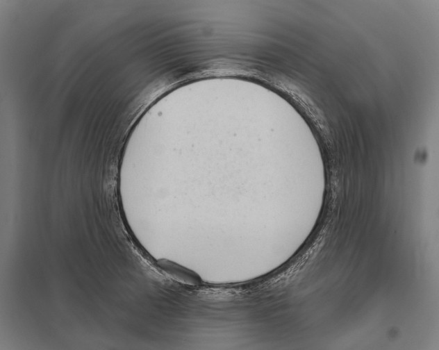 X0000097631185200803281052