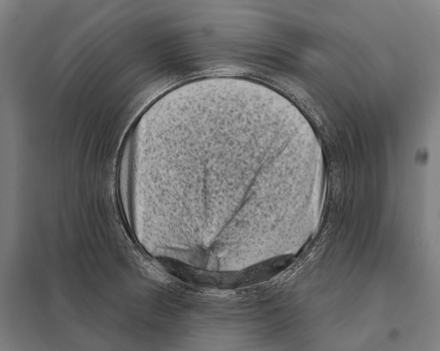 X0000097631186200803281052