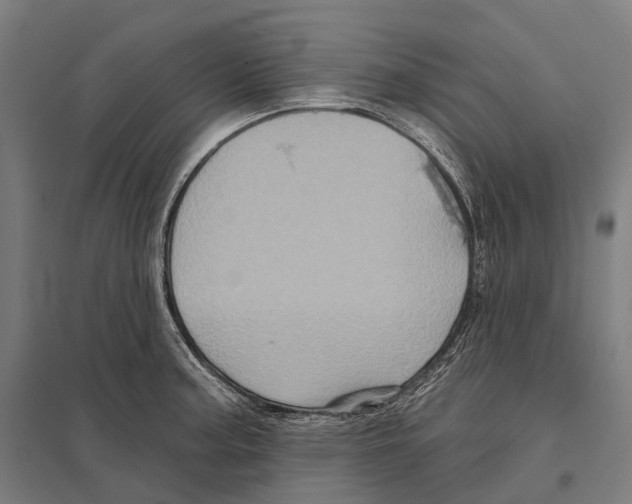 X0000097631187200803281052