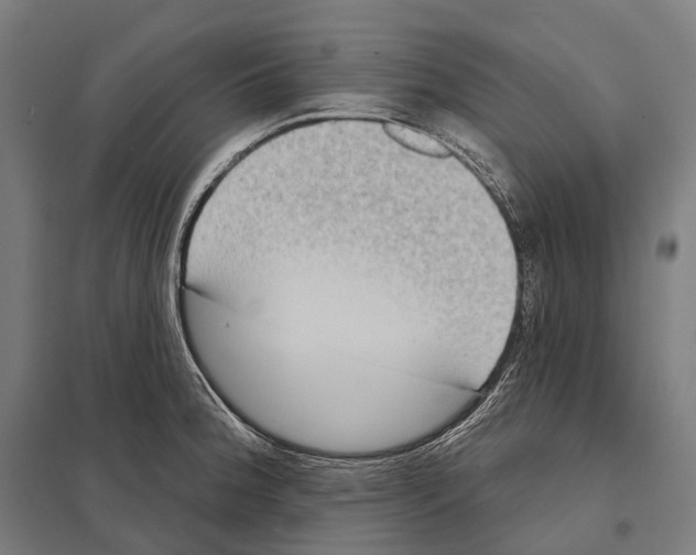 X0000097631188200803281052
