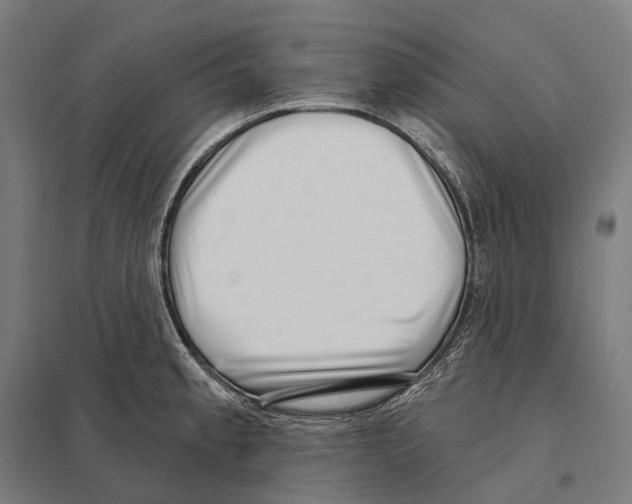 X0000097631189200803281052