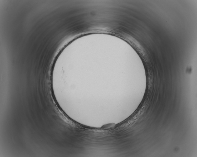 X0000097631192200803281052