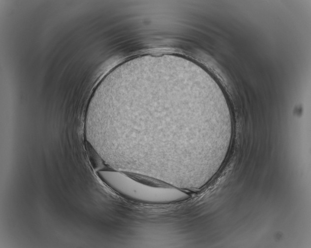 X0000097631193200803281052