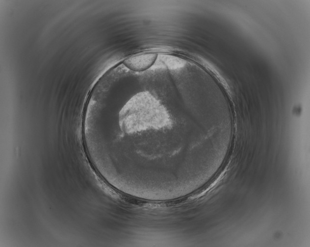 X0000097631194200803281052
