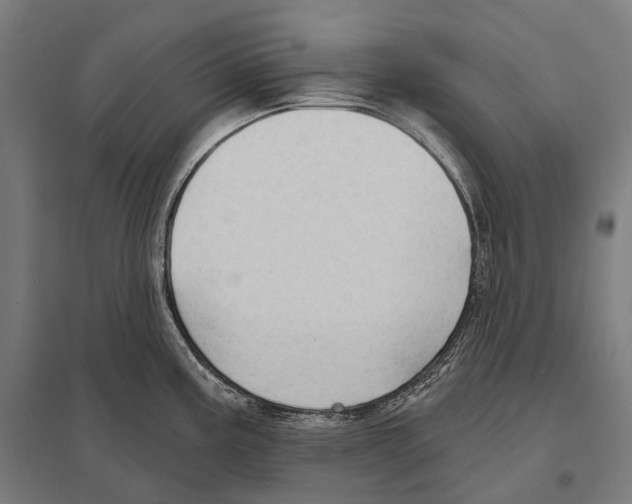 X0000097631195200803281052