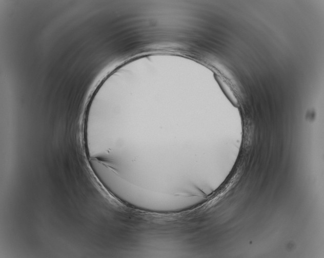 X0000097631196200803281052